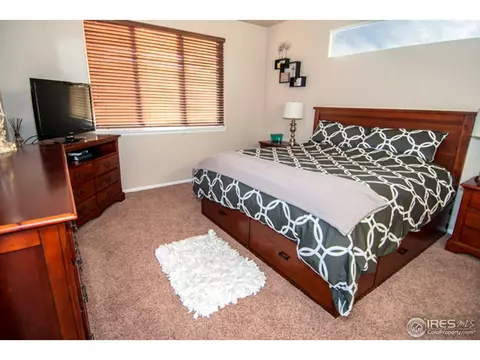2031 Bayfront Dr, Windsor, CO 80550 photo 9