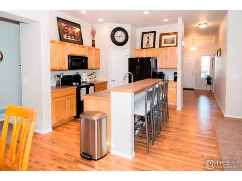 2031 Bayfront Dr, Windsor, CO 80550 photo 4