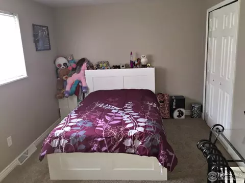 7433 Jay Ct, Arvada, CO 80003 photo 7