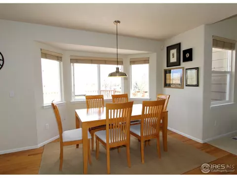 91 Risse Ct, Erie, CO 80516 photo 13