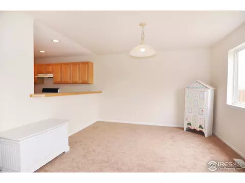 4195 Nevis St, Boulder, CO 80301 photo 10
