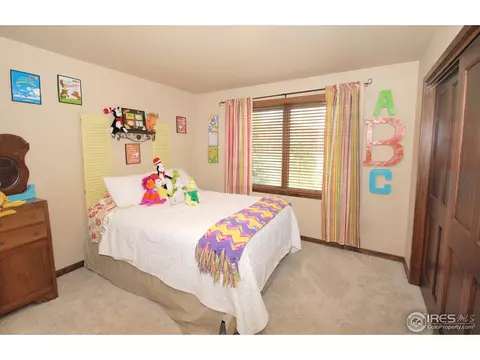 2040 Arroyo Ct, Windsor, CO 80550 photo 17