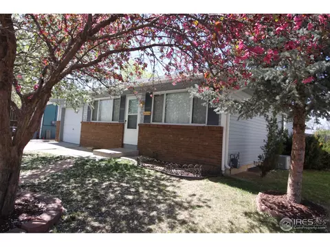 910 Foothills Ct, Windsor, CO 80550 photo 2