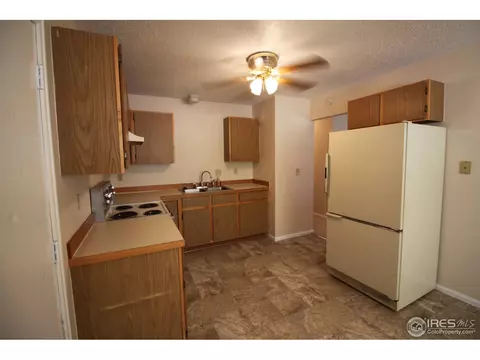 910 Foothills Ct, Windsor, CO 80550 photo 4