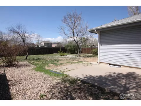 910 Foothills Ct, Windsor, CO 80550 photo 11