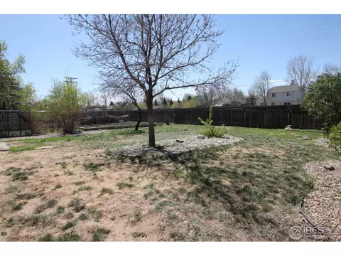 910 Foothills Ct, Windsor, CO 80550 photo 12