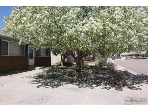 910 Foothills Ct, Windsor, CO 80550 photo 3