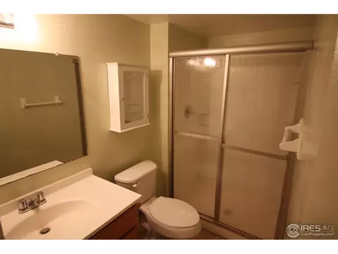 910 Foothills Ct, Windsor, CO 80550 photo 16
