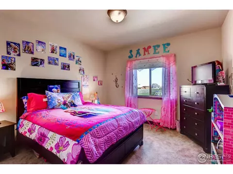 5018 Blackhawk Dr, Windsor, CO 80550 photo 18