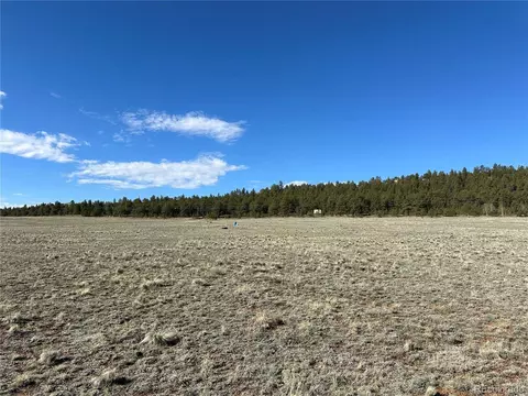 900 S Margaret Pl, Hartsel, CO 80449