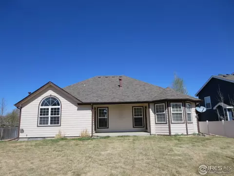 203 Poudre Bay, Windsor, CO 80550 photo 18