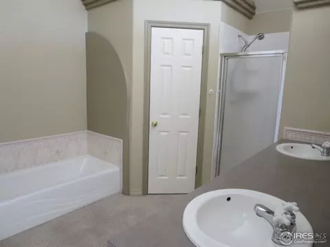 203 Poudre Bay, Windsor, CO 80550 photo 9