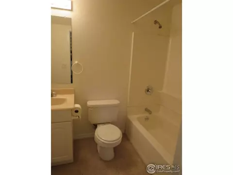 203 Poudre Bay, Windsor, CO 80550 photo 14