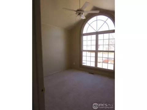 203 Poudre Bay, Windsor, CO 80550 photo 7
