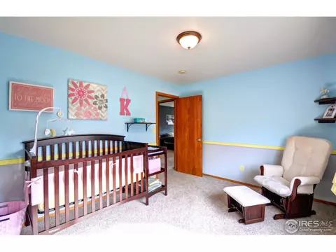 255 Sandstone Ct, Windsor, CO 80550 photo 16