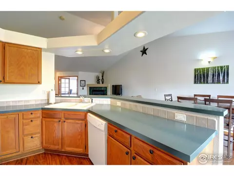 255 Sandstone Ct, Windsor, CO 80550 photo 11