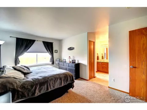 255 Sandstone Ct, Windsor, CO 80550 photo 13