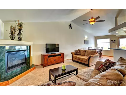 255 Sandstone Ct, Windsor, CO 80550 photo 5
