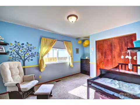 255 Sandstone Ct, Windsor, CO 80550 photo 15