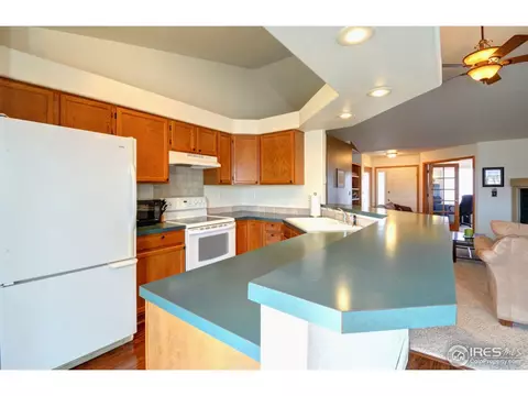 255 Sandstone Ct, Windsor, CO 80550 photo 10