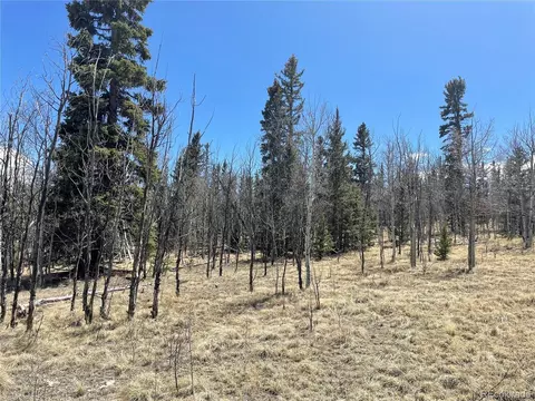 400 Vulture Ln, Como, CO 80432 photo 18