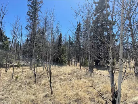 400 Vulture Ln, Como, CO 80432 photo 6
