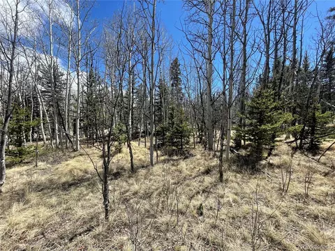 400 Vulture Ln, Como, CO 80432 photo 2