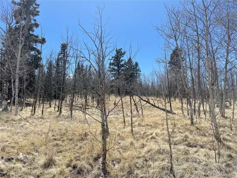 400 Vulture Ln, Como, CO 80432 photo 13
