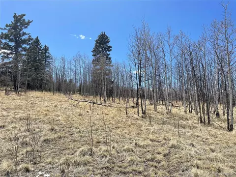 400 Vulture Ln, Como, CO 80432 photo 17