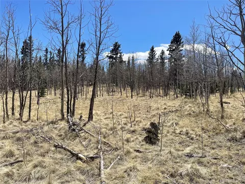 400 Vulture Ln, Como, CO 80432 photo 9