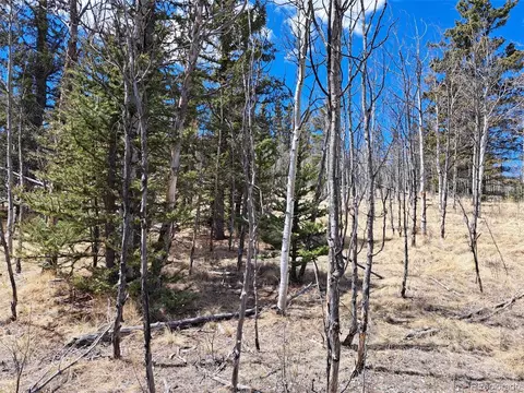 400 Vulture Ln, Como, CO 80432 photo 10
