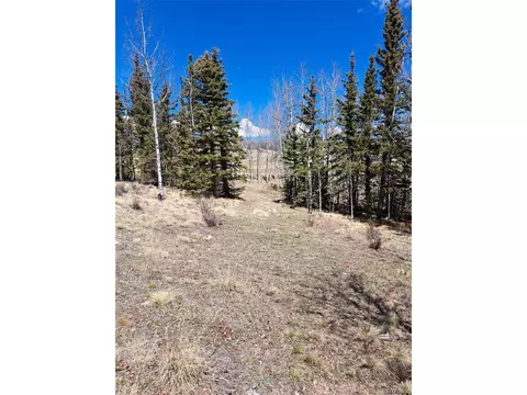 400 Vulture Ln, Como, CO 80432 photo 3