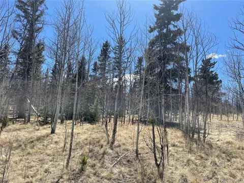 400 Vulture Ln, Como, CO 80432 photo 14