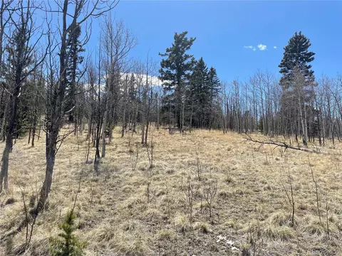 400 Vulture Ln, Como, CO 80432 photo 16