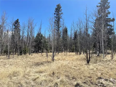 400 Vulture Ln, Como, CO 80432 photo 12