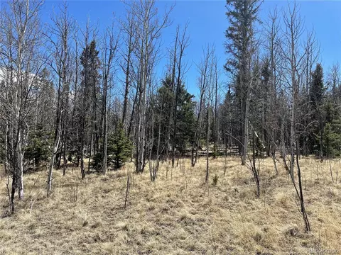 400 Vulture Ln, Como, CO 80432 photo 7