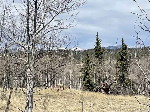 400 Vulture Ln, Como, CO 80432 photo 8