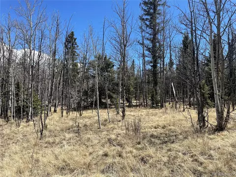 400 Vulture Ln, Como, CO 80432 photo 15
