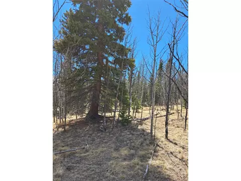 400 Vulture Ln, Como, CO 80432 photo 21