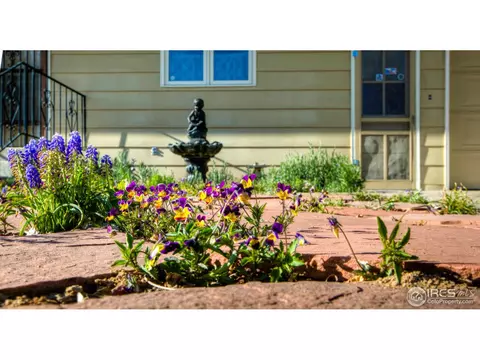 1078 Pinyon Dr, Windsor, CO 80550 photo 6