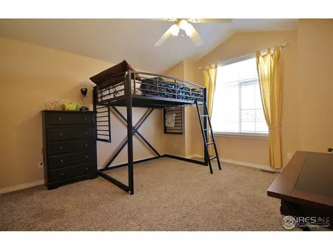 233 Mallard Ct, Windsor, CO 80550 photo 18