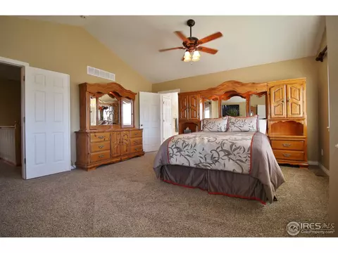233 Mallard Ct, Windsor, CO 80550 photo 13