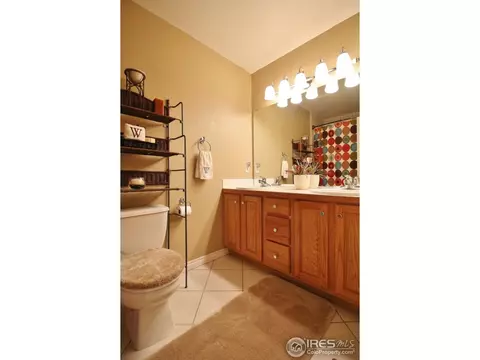 233 Mallard Ct, Windsor, CO 80550 photo 17