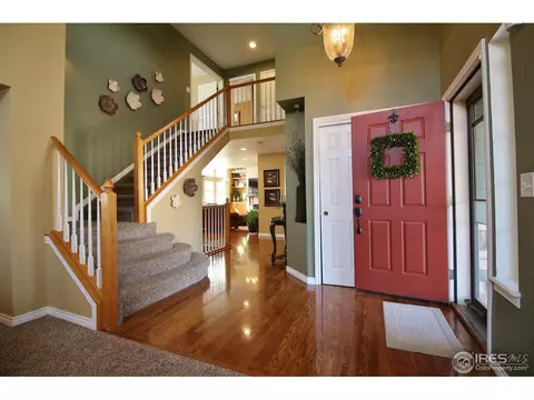 233 Mallard Ct, Windsor, CO 80550 photo 5