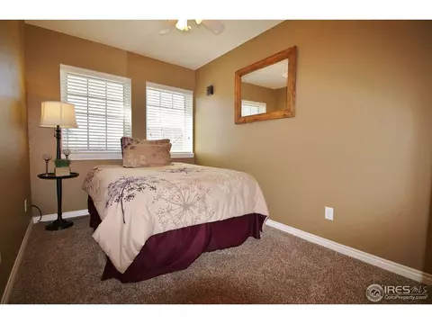 233 Mallard Ct, Windsor, CO 80550 photo 15