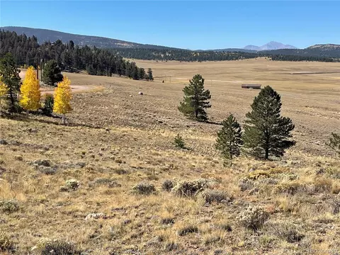 439 Corral Rd, Hartsel, CO 80449 photo 13