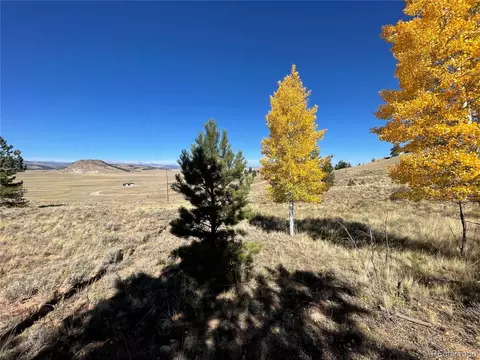 439 Corral Rd, Hartsel, CO 80449 photo 3