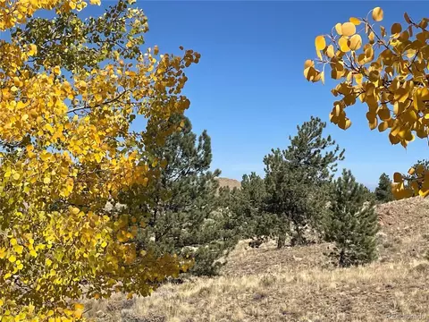439 Corral Rd, Hartsel, CO 80449 photo 5