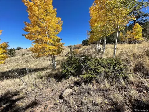 439 Corral Rd, Hartsel, CO 80449 photo 4