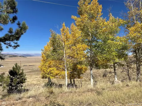 439 Corral Rd, Hartsel, CO 80449 photo 7